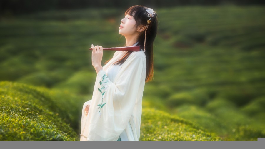 做蚌山本地服务用百度网盟dsp，三个月才摸到门道，项目复盘全记录