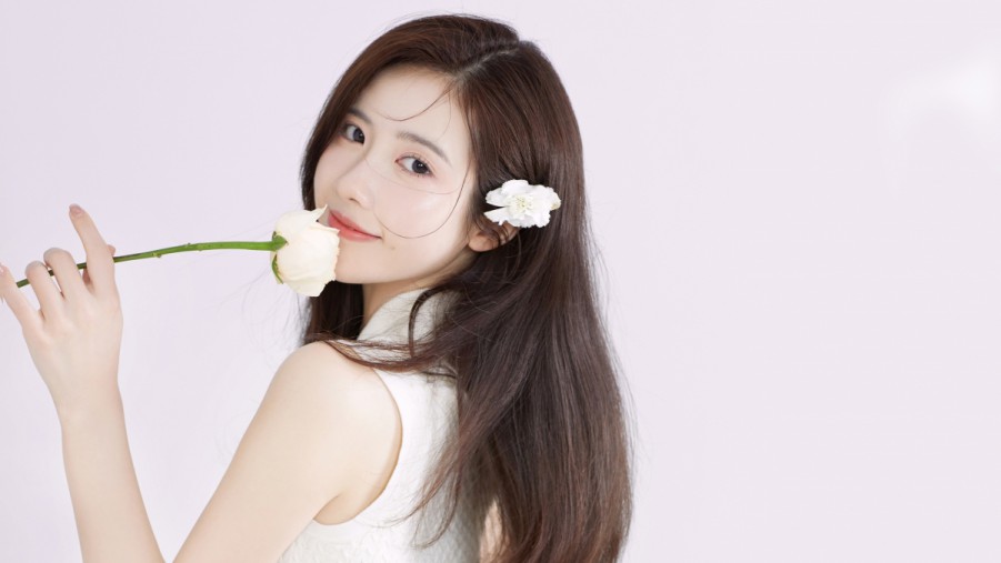 如何通过中小企业主51节SEO优化蜘蛛池视频教程精确理解蜘蛛池的基本原理与构架？